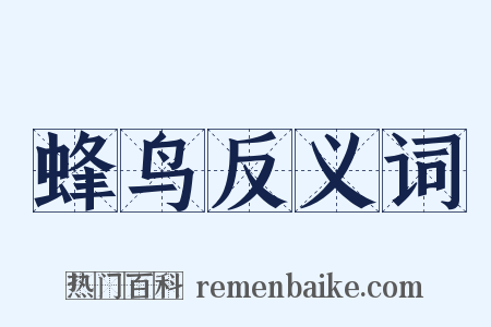 蜂鸟反义词是什么意思的图片